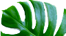 p2