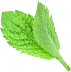 mint leaves seventy one